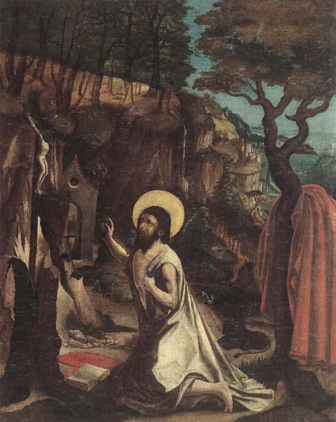 unknow artist Saint jerome in the wilderness oil painting image